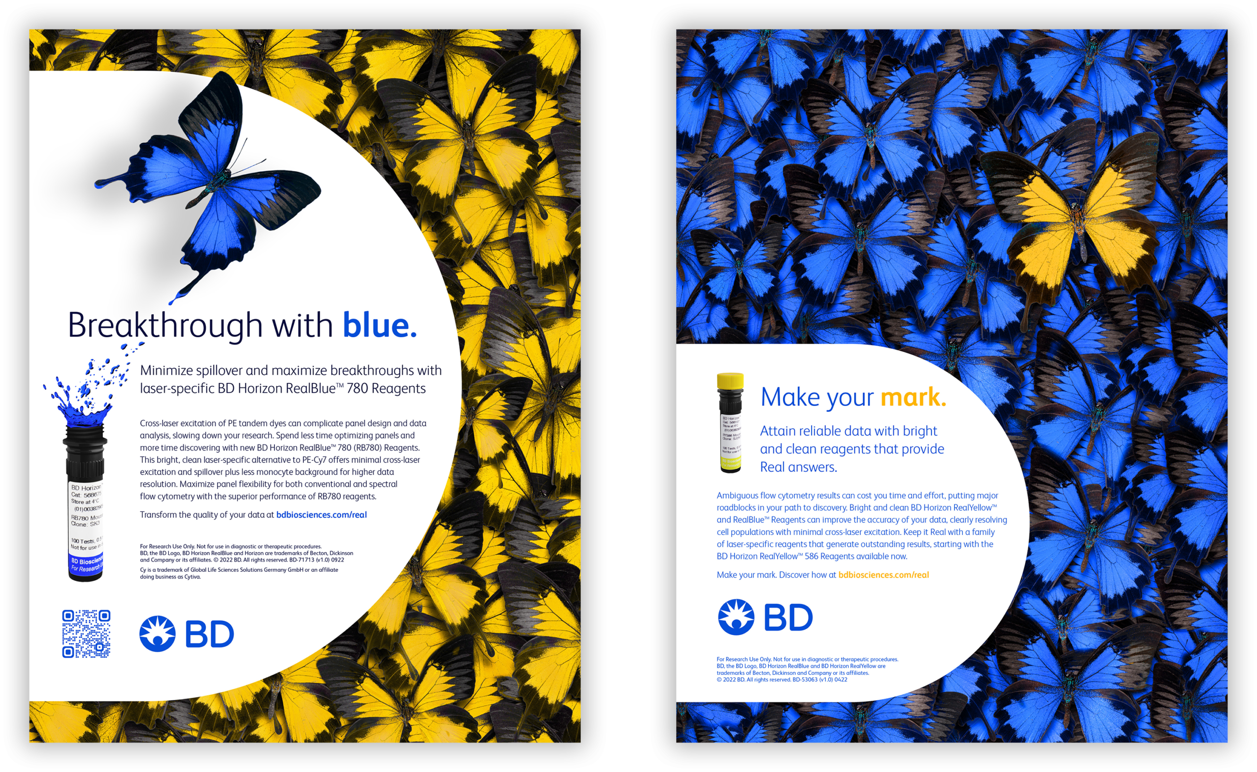 Bd cobalt concepts