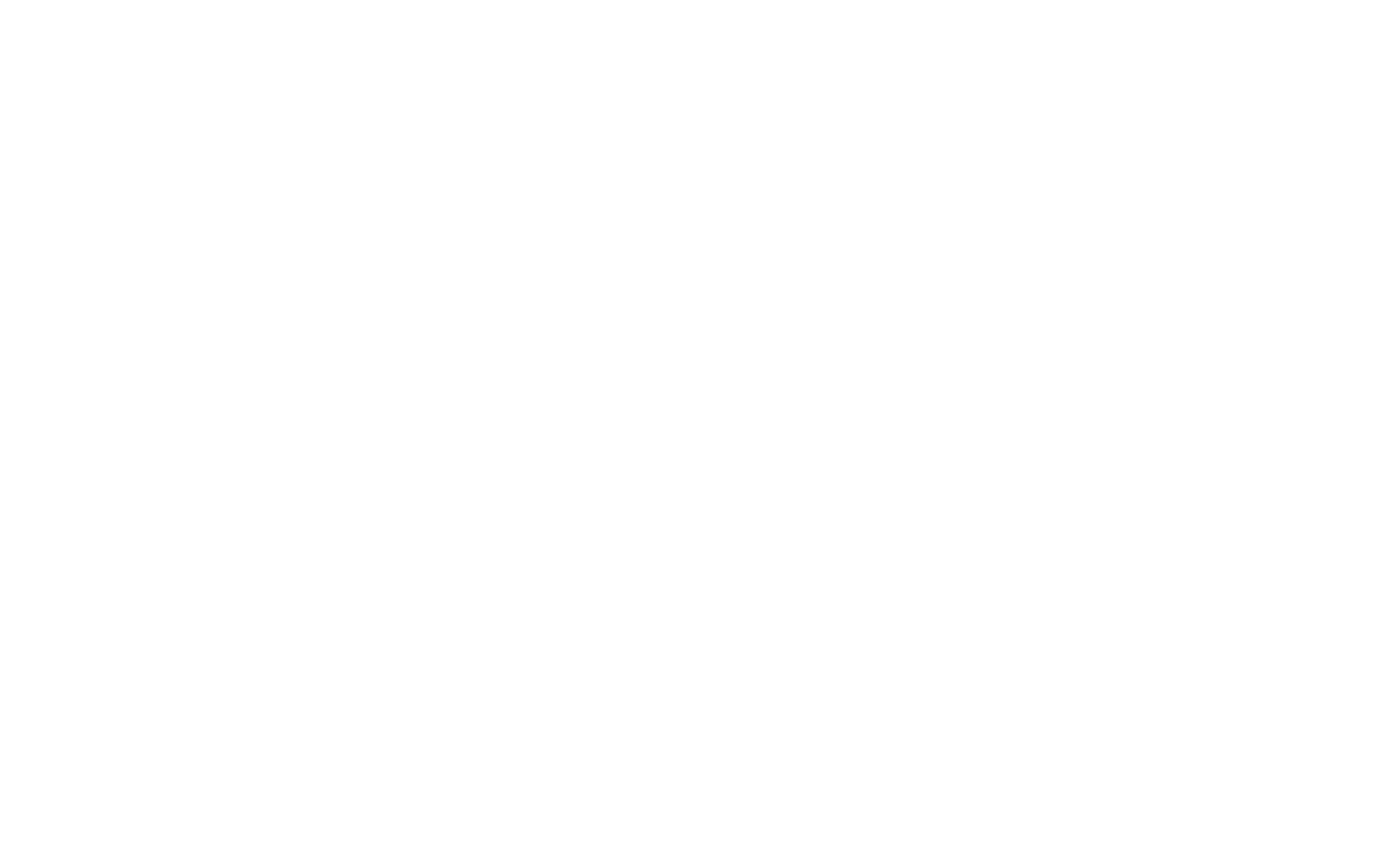 AAA Pro Logo white